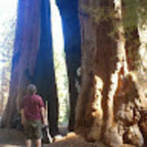 Meet your Posher, Stephen